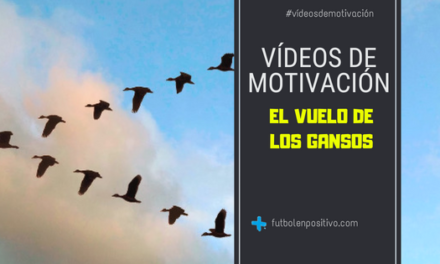 Vídeo de motivación 5: “El vuelo de los gansos”